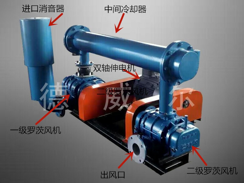 雙極串聯(lián)羅茨風(fēng)機展示